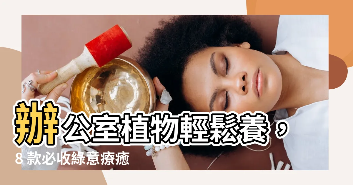 【適合辦公室植物】辦公室植物輕鬆養，8 款必收綠意療癒神器