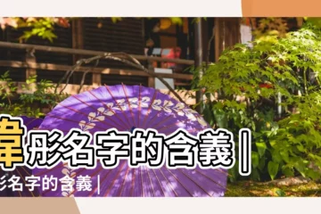 【緯彤這個名字的寓意】緯彤名字的含義 |韋彤名字的含義 |韋彤名字的意思解釋 |
