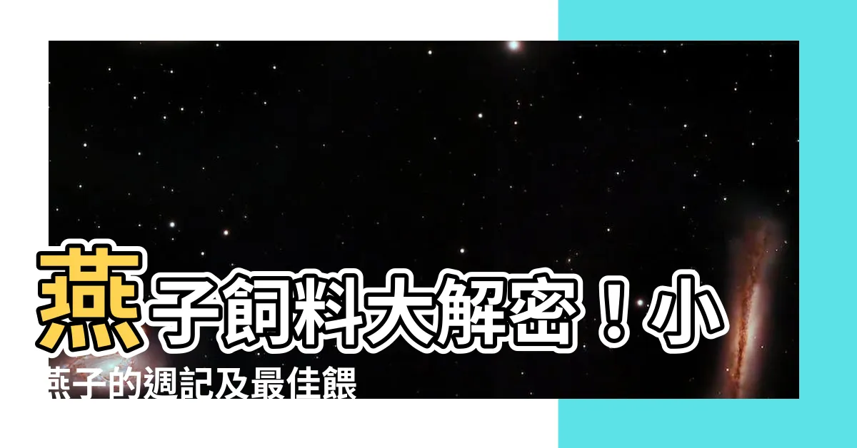 【燕子飼料】燕子飼料大解密！小燕子的週記及最佳餵食方法