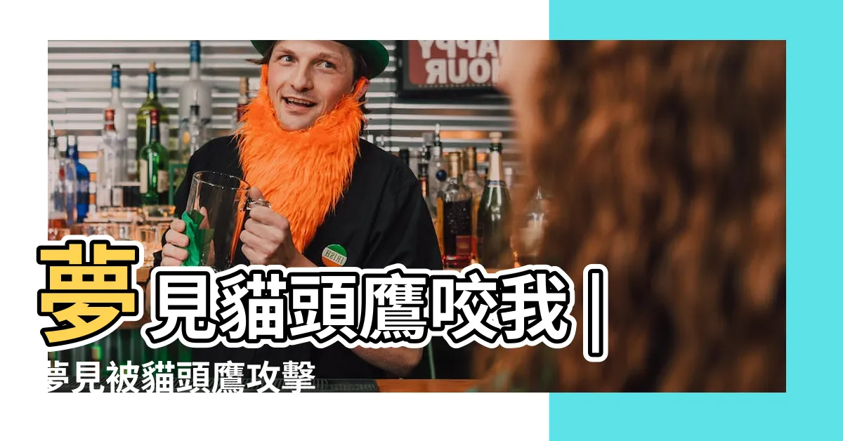 【夢到貓頭鷹攻擊】夢見貓頭鷹咬我 |夢見被貓頭鷹攻擊 |女人夢到貓頭鷹攻擊別人 |
