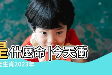 【11月28日屬什麼生肖】是什麼命 |今天衝什麼生肖2023年11月28日屬相相沖表 |每日運勢播報 |