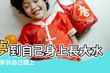 【夢見渾身長大水泡】夢到自己身上長大水泡 |夢到自己腿上長滿水泡 |