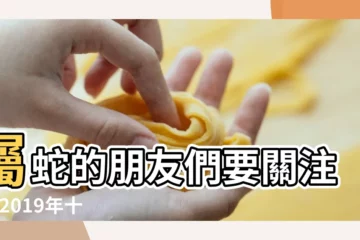 【12生肖2019年運勢排名】屬蛇的朋友們要關注了 |2019年十二生肖運勢大排名 |2019年12生肖運勢排行榜 |