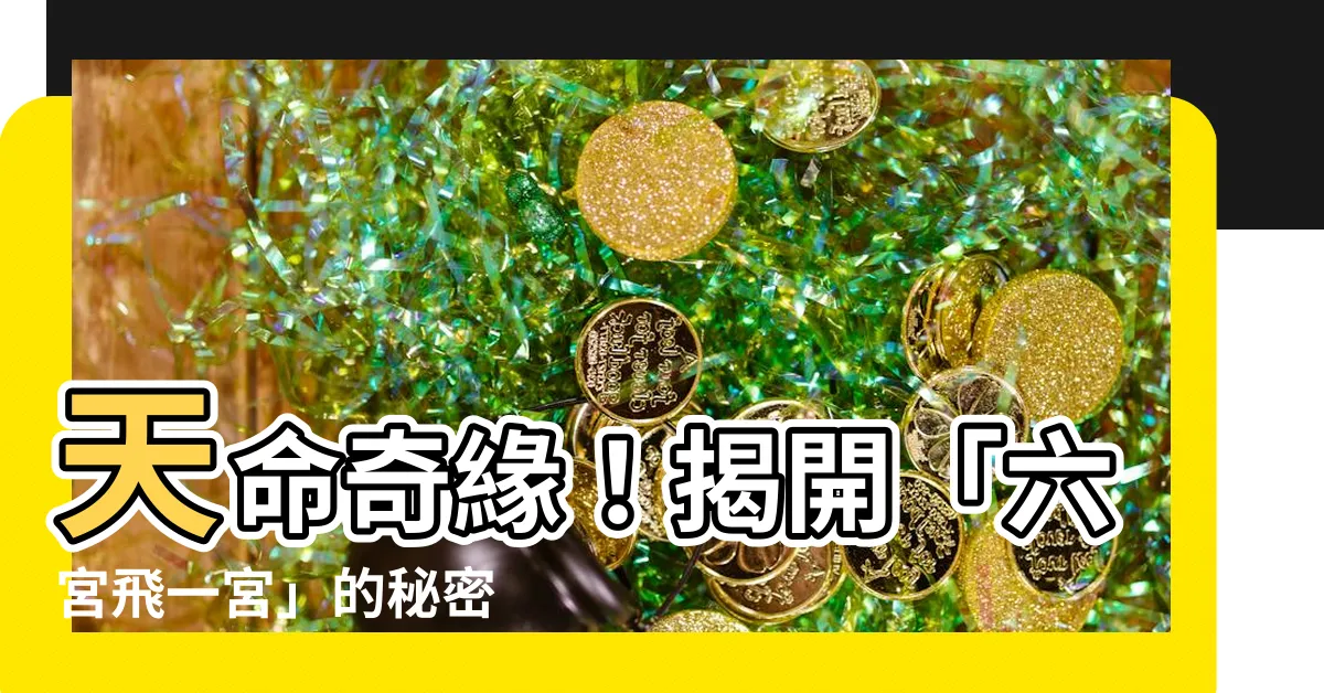 【六宮飛一宮】天命奇緣！揭開「六宮飛一宮」的秘密