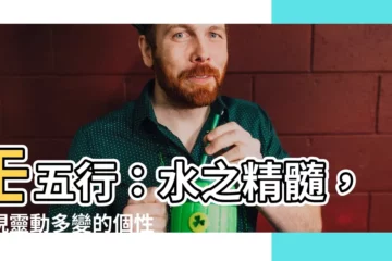 【壬五行】壬五行：水之精髓，展現靈動多變的個性魅力