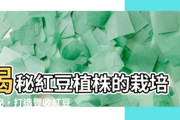 【紅豆植株】揭秘紅豆植株的栽培奧秘，打造豐收紅豆！