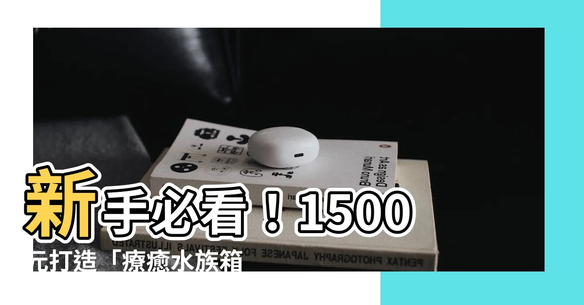 【家裡養什麼魚最好】新手必看！1500元打造「療癒水族箱」，精選8款適合新手的魚