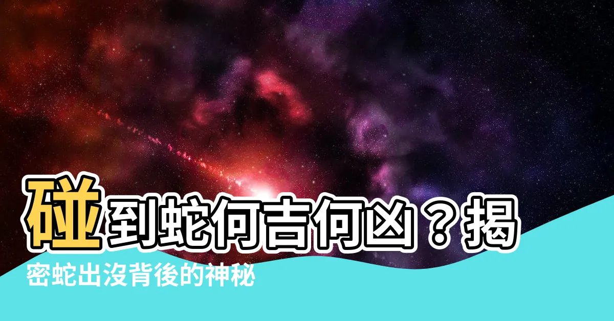 【碰到蛇】碰到蛇何吉何兇？揭密蛇出沒背後的神秘含義