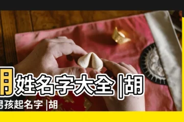 【姓胡的取名字大全】胡姓名字大全 |胡姓男孩起名字 |胡姓男寶寶起名字大全 |