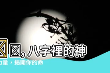 【梟 八字】梟신, 八字裡的神秘力量，揭開你的命運玄機