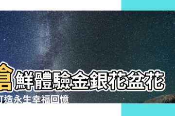 【盆花 金銀】搶鮮體驗金銀花盆花，打造永生幸福回憶