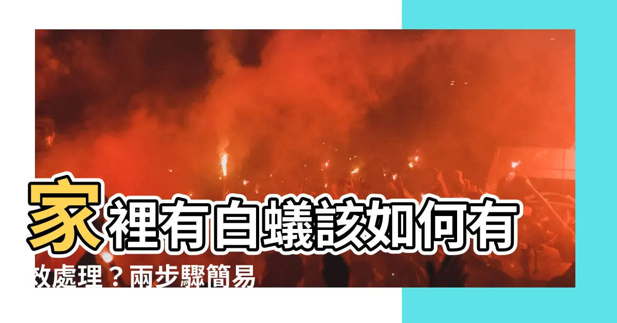 【家裡有白蟻該如何處理】家裡有白蟻該如何有效處理？兩步驟簡易上手！