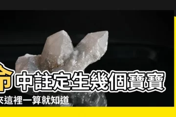 【命中帶幾個寶寶緣】命中註定生幾個寶寶？來這裡一算就知道！