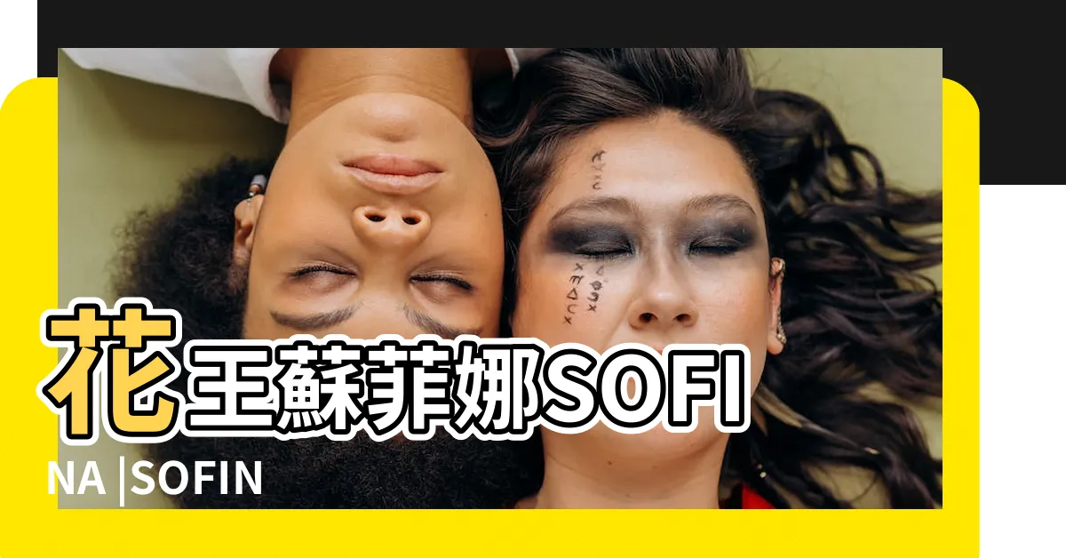 【土台】花王蘇菲娜SOFINA |SOFINA |土台美容液Base |