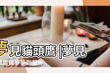 【夢見好多貓頭鷹在房頂】夢見貓頭鷹 |夢見貓頭鷹做夢夢到是什麼意思會怎麼樣好不好 |夢見貓頭鷹 |