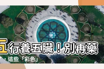 【五行 五臟】五行養五臟！別再藥補了，這些「彩色」食物幫你補對位！