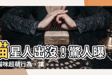 【貓】貓星人出沒！驚人曝光貓咪超萌行為，讓你心花怒放！
