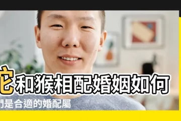【屬蛇和猴子可以結婚】蛇和猴相配婚姻如何他們是合適的婚配屬相嗎 |屬猴和屬蛇的合不合 |生肖蛇配生肖猴能不能結婚 |