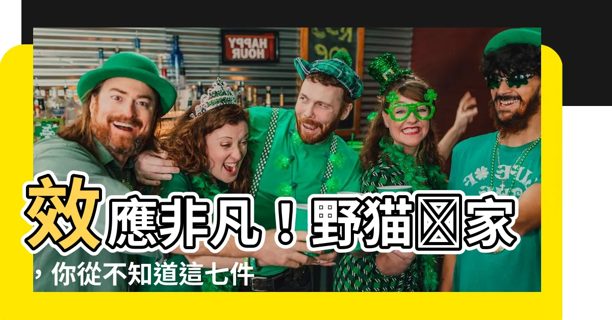 【野貓進家】效應非凡！野貓進家，你從不知道這七件事！
