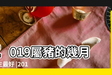 【2019幾月份生寶寶好】2019屬豬的幾月出生最好 |2019屬豬寶寶幾月出生好 |2019年屬豬的幾月出生最好 |