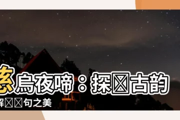 【慈烏夜啼有幾組對句】慈烏夜啼：探尋古韻，解讀對句之美