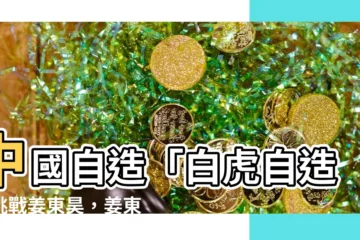 【白虎自】中國自造「白虎自造」挑戰姜東昊，姜東昊表示：不害怕！