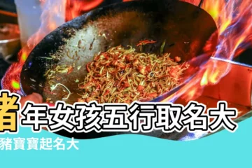 【屬豬生辰八字取名大全】豬年女孩五行取名大全 |豬寶寶起名大全 |屬豬女孩八字取名大全 |