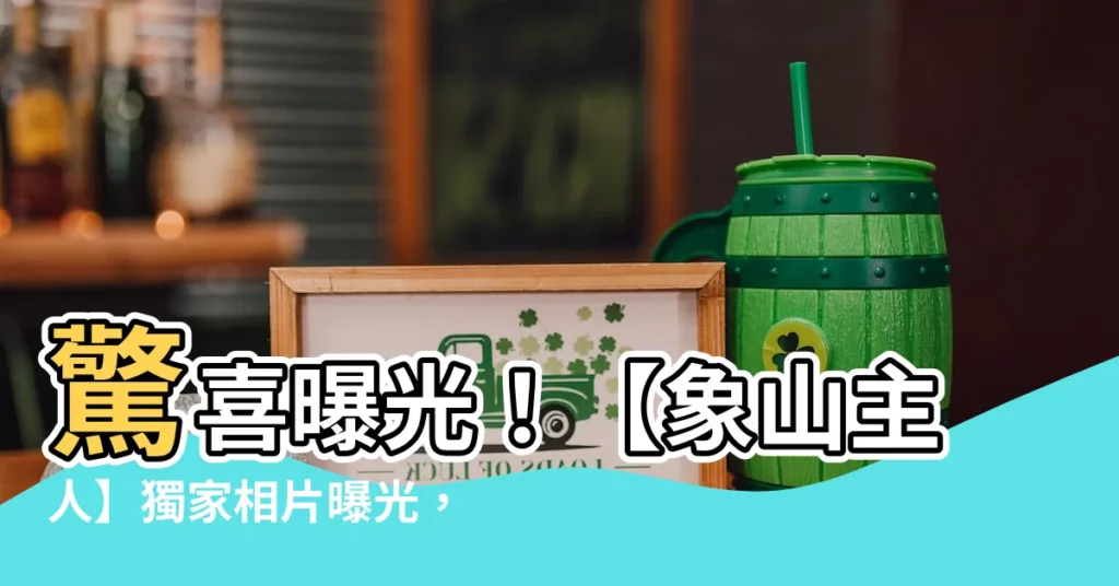 【象山主人 相片】驚喜曝光！【象山主人】獨家相片曝光，每坪僅92~95萬！