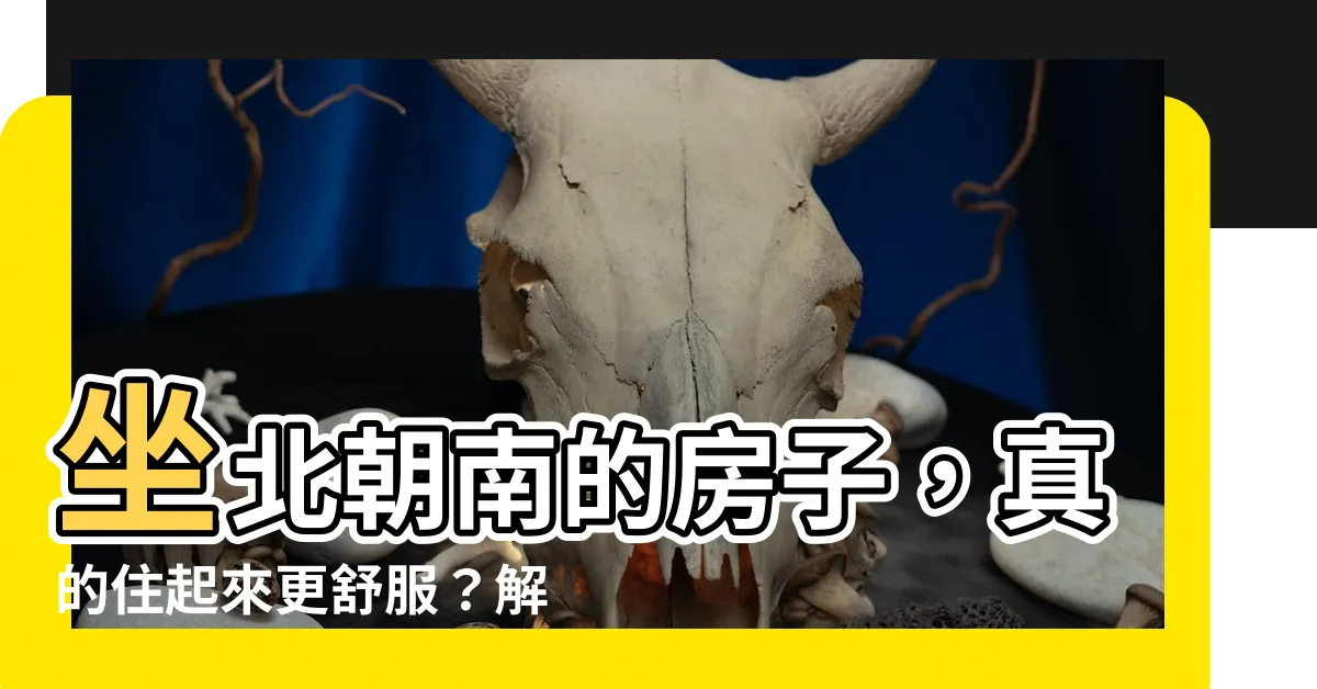 【坐北朝南的房子】坐北朝南的房子，真的住起來更舒服？解密背後的科學原理