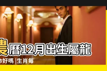 【屬龍12月份命運怎麼樣】農曆12月出生屬龍人命好嗎 |生肖每月運勢詳解屬龍的2023年12月份運程 |屬龍十二月出生性格 |