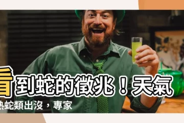 【看到蛇的徵兆】看到蛇的徵兆！天氣炎熱蛇類出沒，專家曝「2件事」必做
