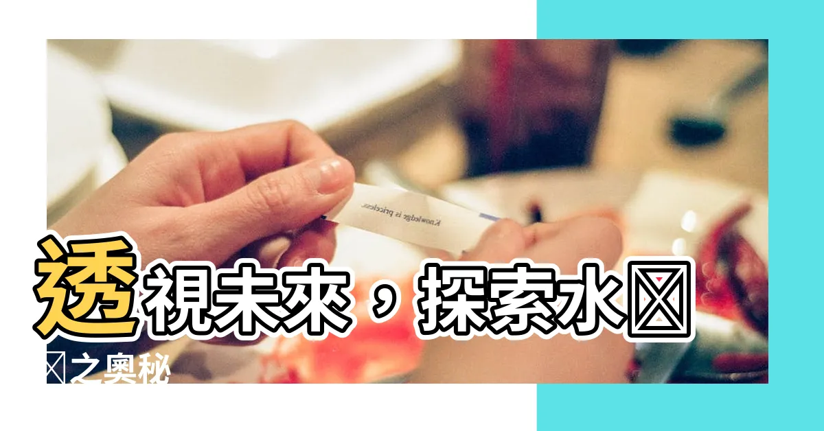 【水羅盤】透視未來，探索水羅盤之奧秘