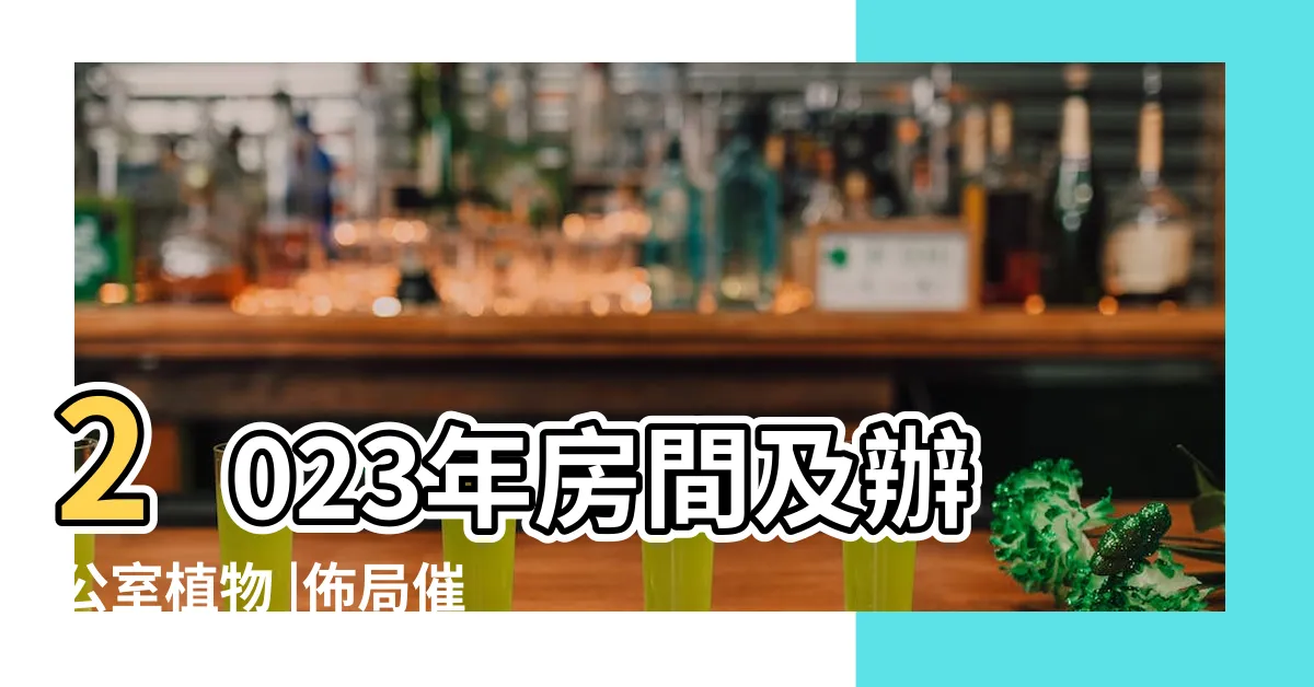 【2023東北位】2023年房間及辦公室植物 |佈局催財運旺 |風水擺位 |