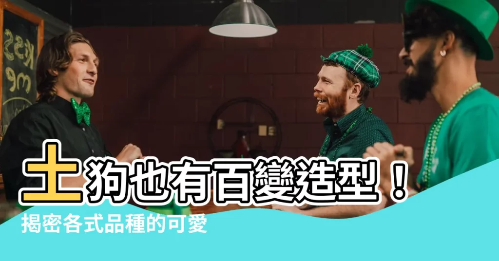 【土狗顏色】土狗也有百變造型！揭密各式品種的可愛毛色