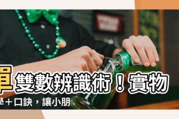 【單數和雙數】單雙數辨識術！實物教學＋口訣，讓小朋友輕鬆駕馭抽象數學概念