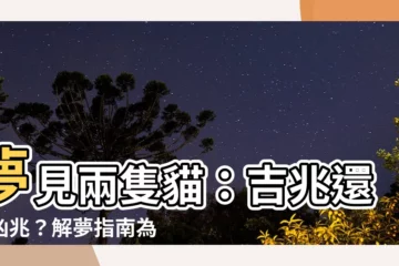 【夢見兩隻貓】夢見兩隻貓：吉兆還是凶兆？解夢指南為你揭秘