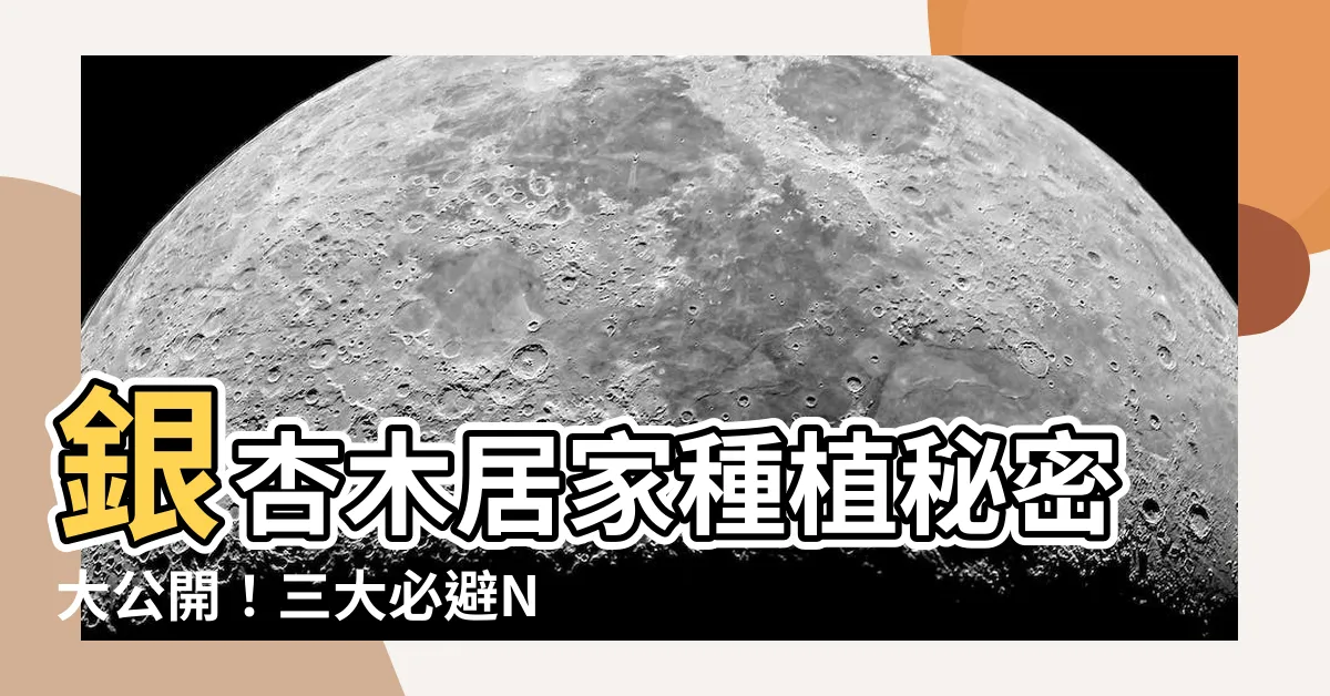 【銀杏木】銀杏木居家種植秘密大公開！三大必避NG行為一次看
