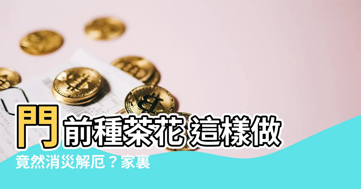 【門前種茶花 好嗎】門前種茶花 這樣做竟然消災解厄？家裏種山茶花 真的有禁忌？