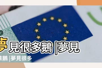 【夢到好多鵝好不好】夢見很多鵝 |夢見一羣鵝 |夢見很多鵝 |
