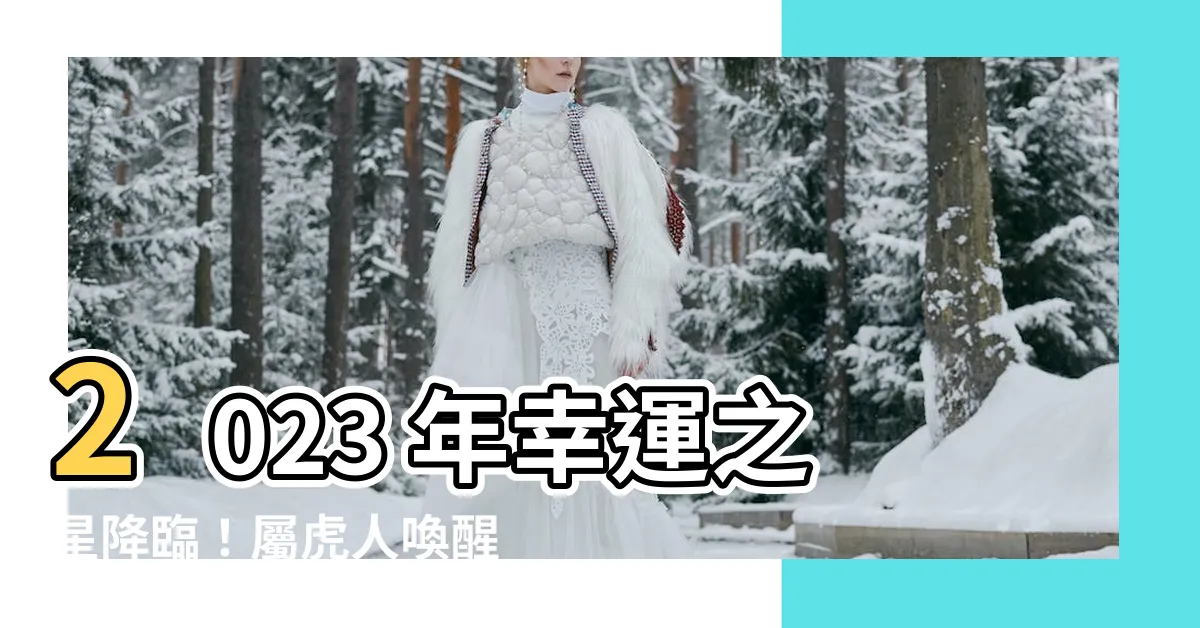 【屬虎的幸運號碼】2023 年幸運之星降臨！屬虎人喚醒驚人運勢的幸運密碼