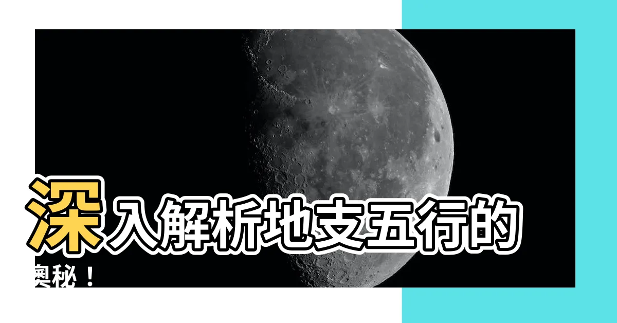 【地支 五行】深入解析地支五行的奧秘！