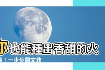 【種火龍果方法】你也能種出香甜的火龍果！一步步圖文教學「種火龍果方法」