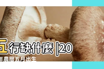 【2019年農曆5月出生的寶寶什麼命】五行缺什麼 |2019年農曆五月出生寶寶五行缺什麼 |2019年農曆五月出生的寶寶五行屬什麼 |