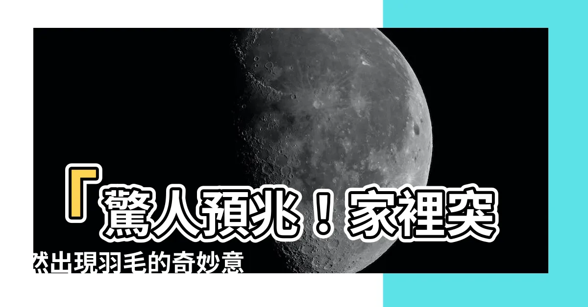 【家裡出現羽毛】「驚人預兆！家裡突然出現羽毛的奇妙意義大揭密！」