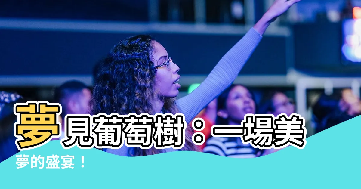 【夢見葡萄樹】夢見葡萄樹：一場美夢的盛宴！