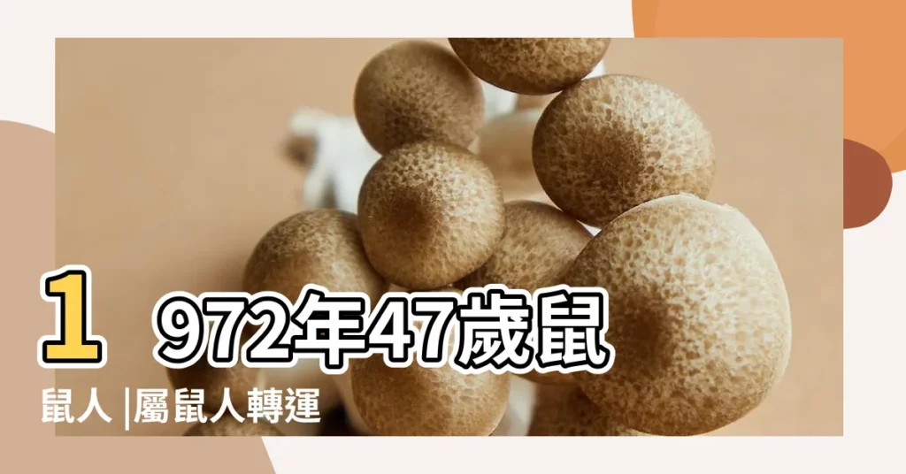 1972年47歲鼠鼠人 |屬鼠人轉運的年份 |2019年後儘量不要去這些 |【72年鼠人2019年走的這是什麼運】