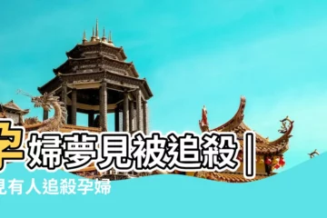 【孕婦夢見追殺別人】孕婦夢見被追殺 |夢見有人追殺孕婦 |孕婦夢見被人追是什麼意思孕婦夢到被人追是什麼徵兆 |