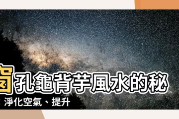 【窗孔龜背芋風水】窗孔龜背芋風水的秘密：淨化空氣、提升運勢的綠色魔法