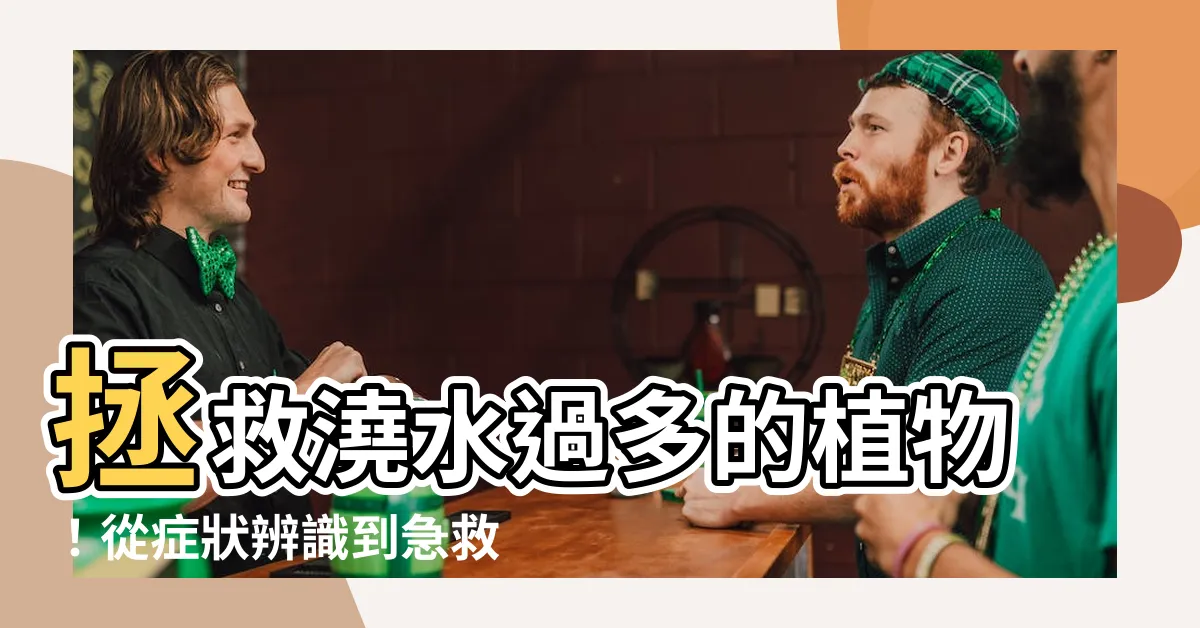 【澆水過多】拯救澆水過多的植物！從症狀辨識到急救措施大公開