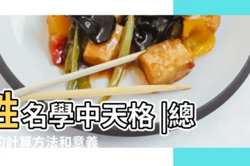 【姓名 天格 博客 數字】姓名學中天格 |總格的計算方法和意義是 |姓名學三才五格和靈動數的定義與解説 |